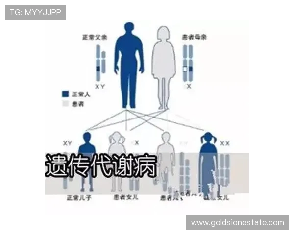 体育竞技与全民健康:探索运动对身体与心理的双重影响 体育竞技与全民健康:探索运动对身体与心理的双重影响