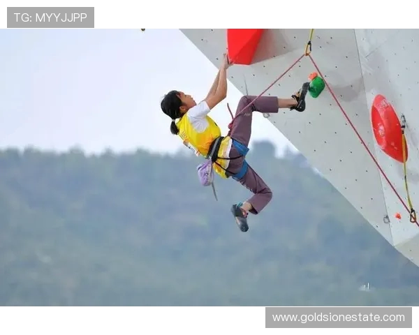 上海攀岩队勇夺全国攀岩状态排行榜第二名展现强劲实力