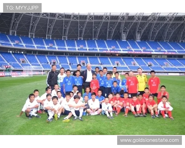 北京网球队团队协作的成功之道与未来发展探讨