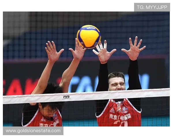 南京排球队最新比赛经验分享TOP10助力球队腾飞