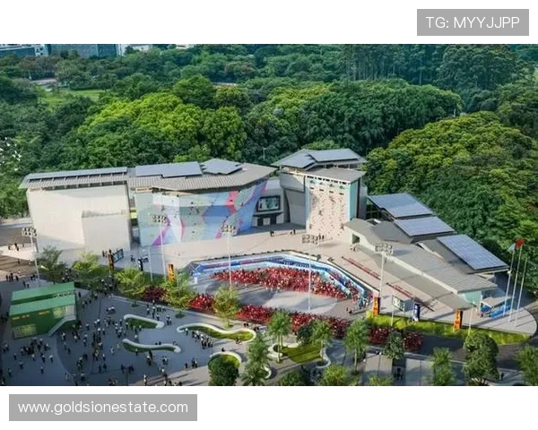 广州攀岩队速度之争引发热议攀岩界的公平与竞技精神探讨