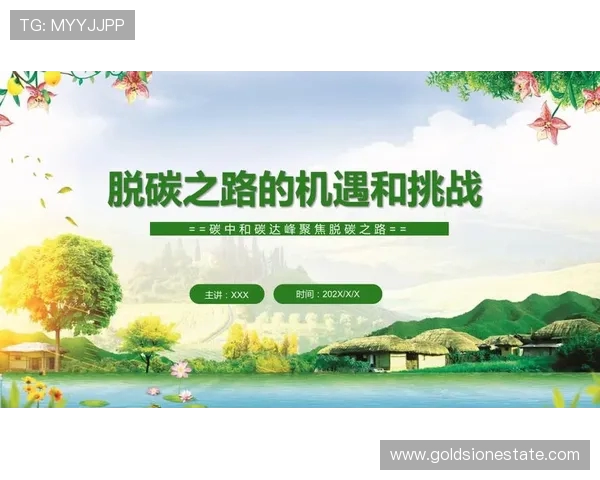 成都极限运动队转型之路揭秘：从传统到创新的挑战与机遇