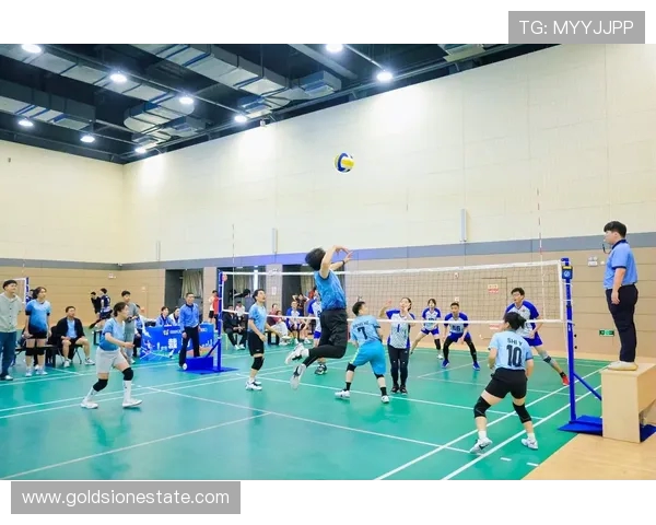 杭州排球队个人能力分析与发展潜力探讨