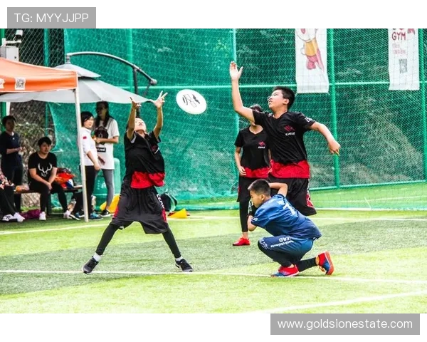 杭州飞盘队在世界滑板锦标赛中的崛起与成长历程揭秘