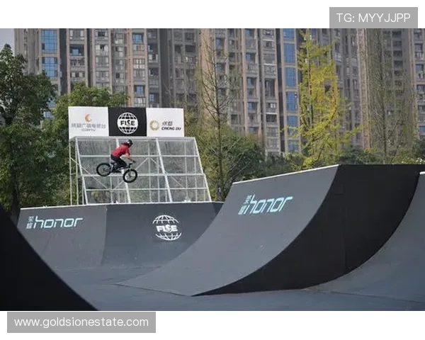 极限运动技术排行榜：武汉极限运动队位居第7名