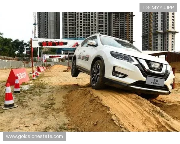 深圳极限运动队战术深度解析与对比研究 深圳极限运动队战术深度解析与对比研究