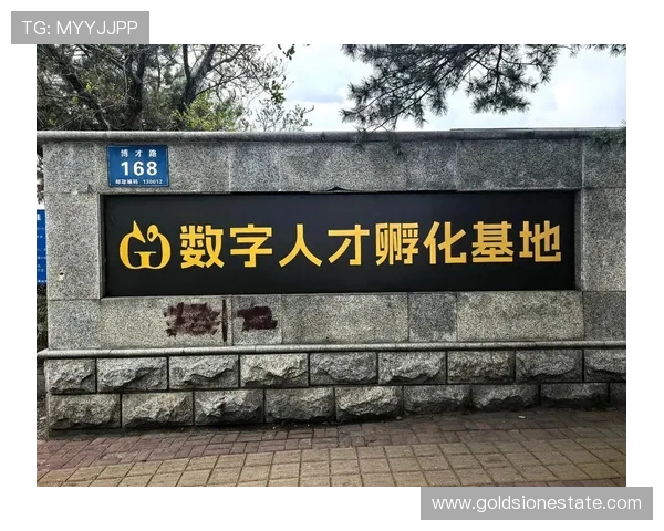 张昊：在科技与艺术交汇处的创新探索者与未来引领者